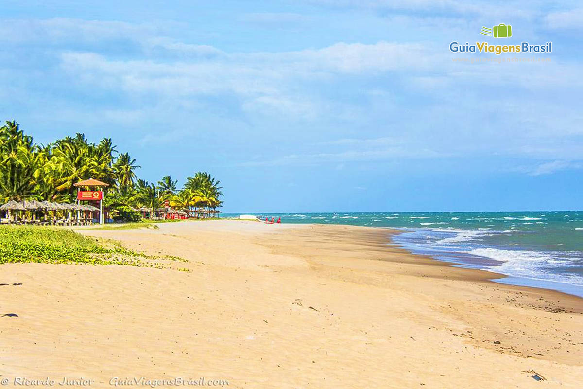 Imagem do mar e coqueiros ao fundo na Praia de Jacarecica, em Maceió, Alagoas, Brasil.