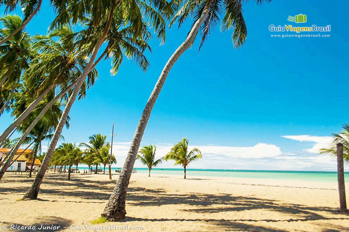 Imagem da bela Praia de Japaratinga, em Maragogi.