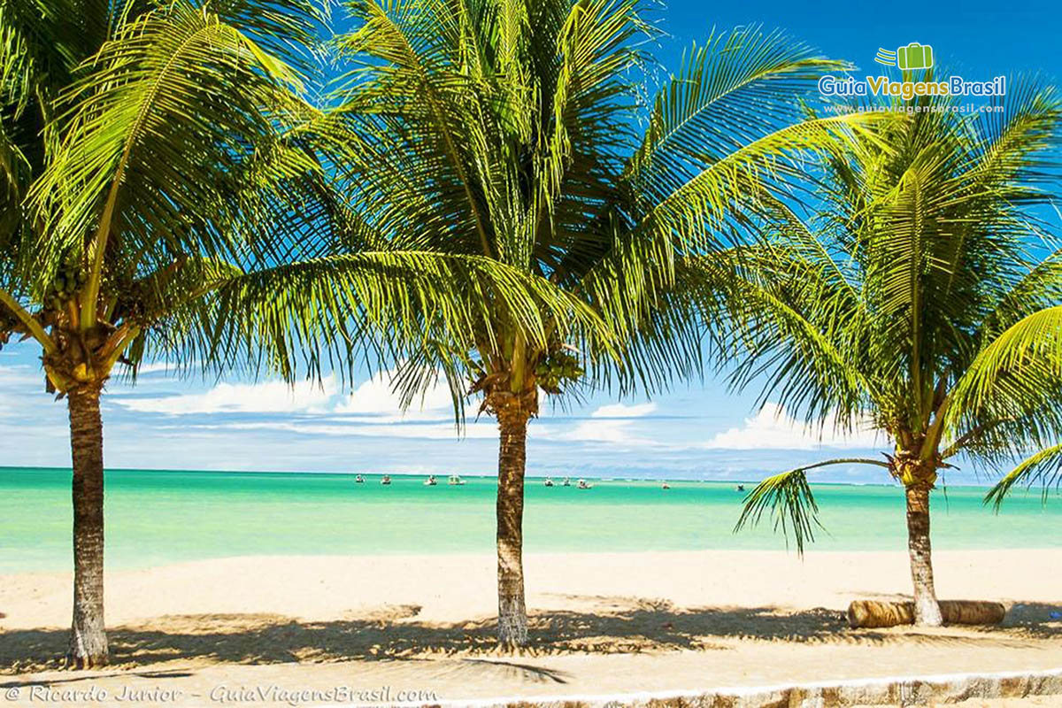 Imagem linda da praia que possui o mesmo nome da cidade, Praia Japaratinga.