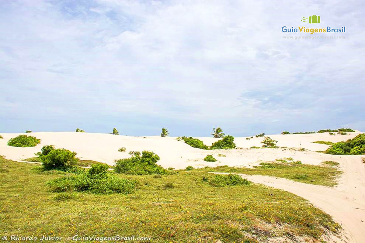 Imagem das areias claras e vegetação em Mangue Seco.