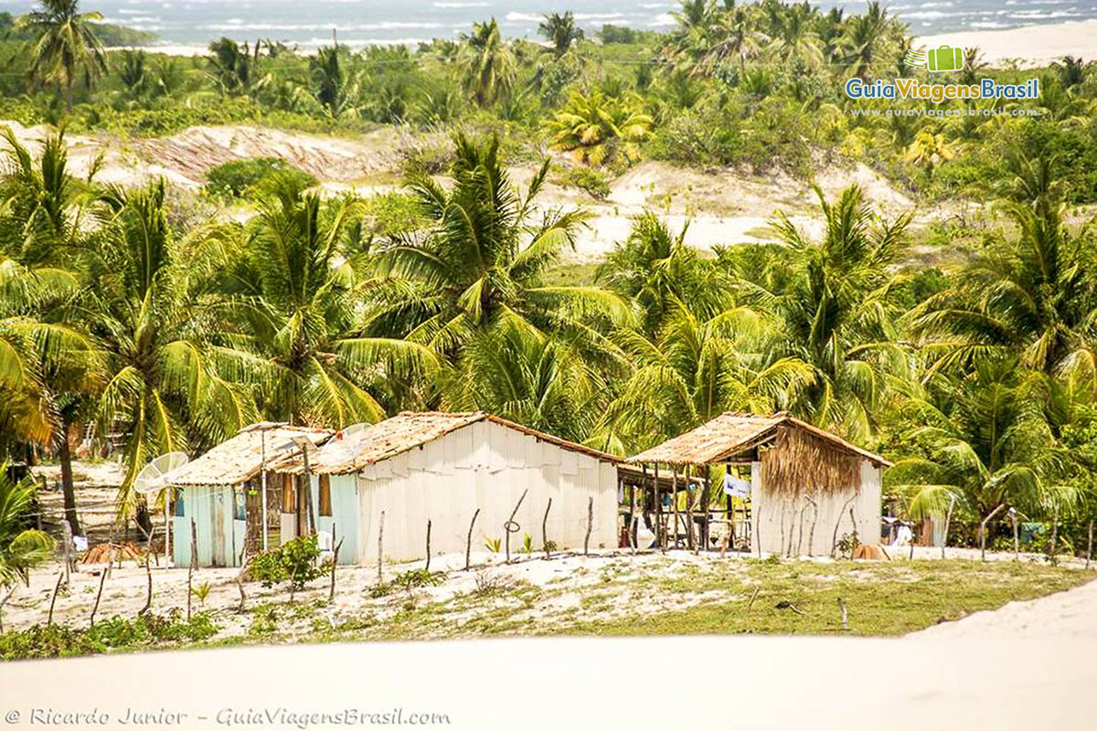 Imagem de umas casas de pescadores no meio dos coqueiros em Mangue Seco.