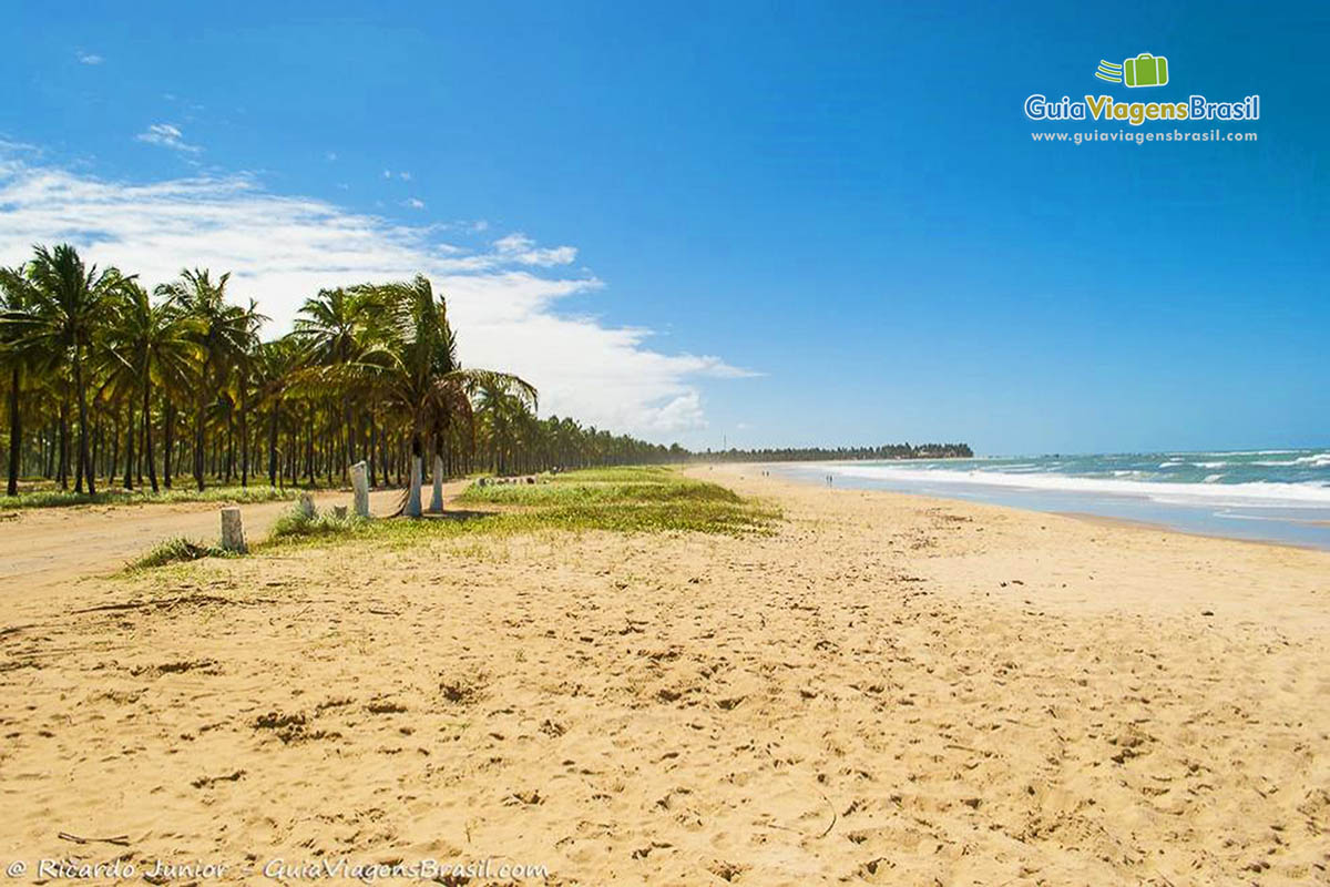 Imagem da bela Praia de Maracaípe, em Porto de Galinhas.