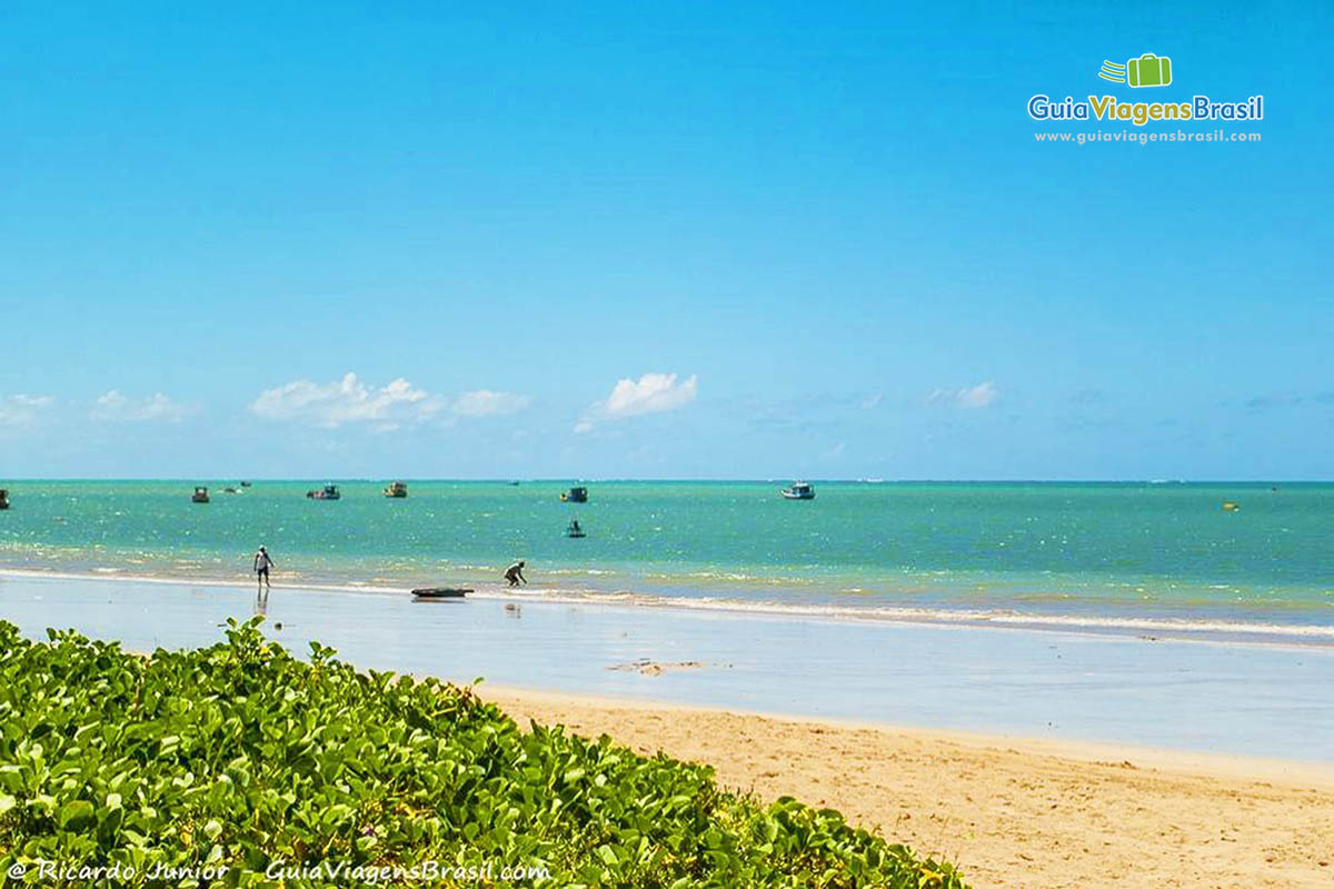 Imagem de pescador puxando a rede e barcos ao fundo, com pequena faixa de areia.