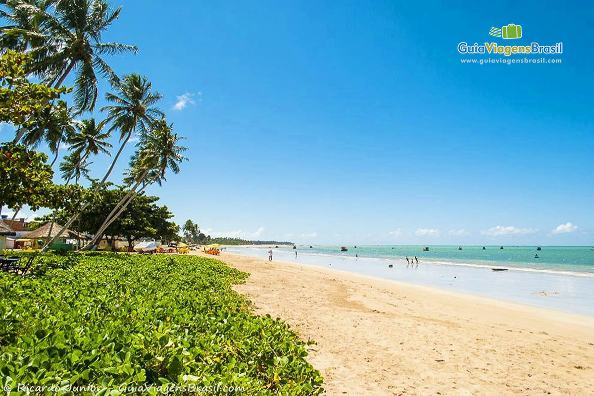 Imagem da Praia de Maragogi, em Alagoas.