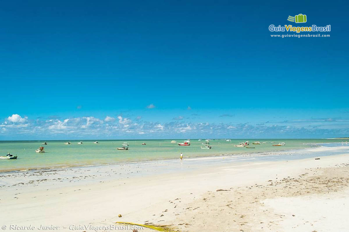 Imagem de barcos de pescadores  no mar da Praia de Paripueira, em Maceió.