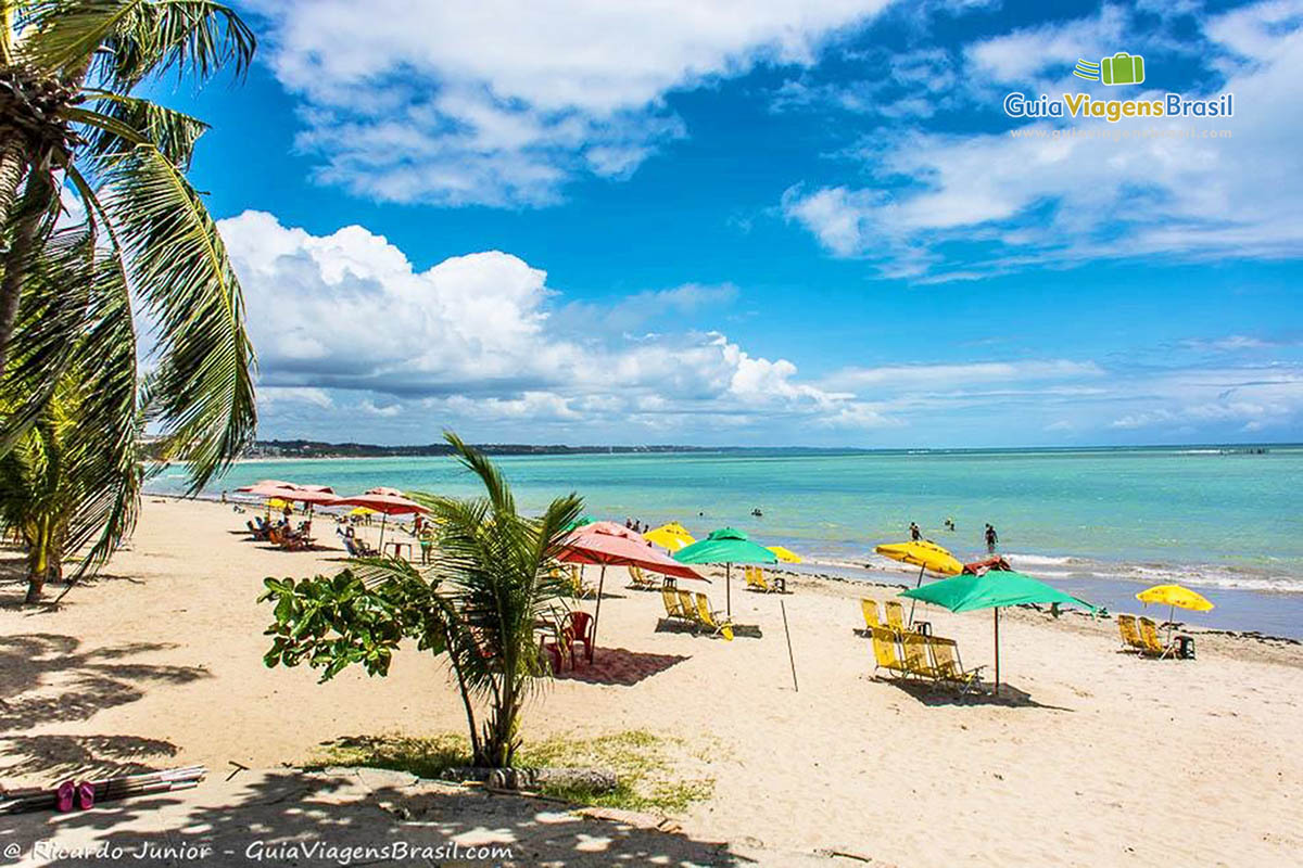 Imagem dos coqueiros fazendo sombra e guarda sol na Praia de Ponta Verde em Maceió, Alagoas, Brasil.