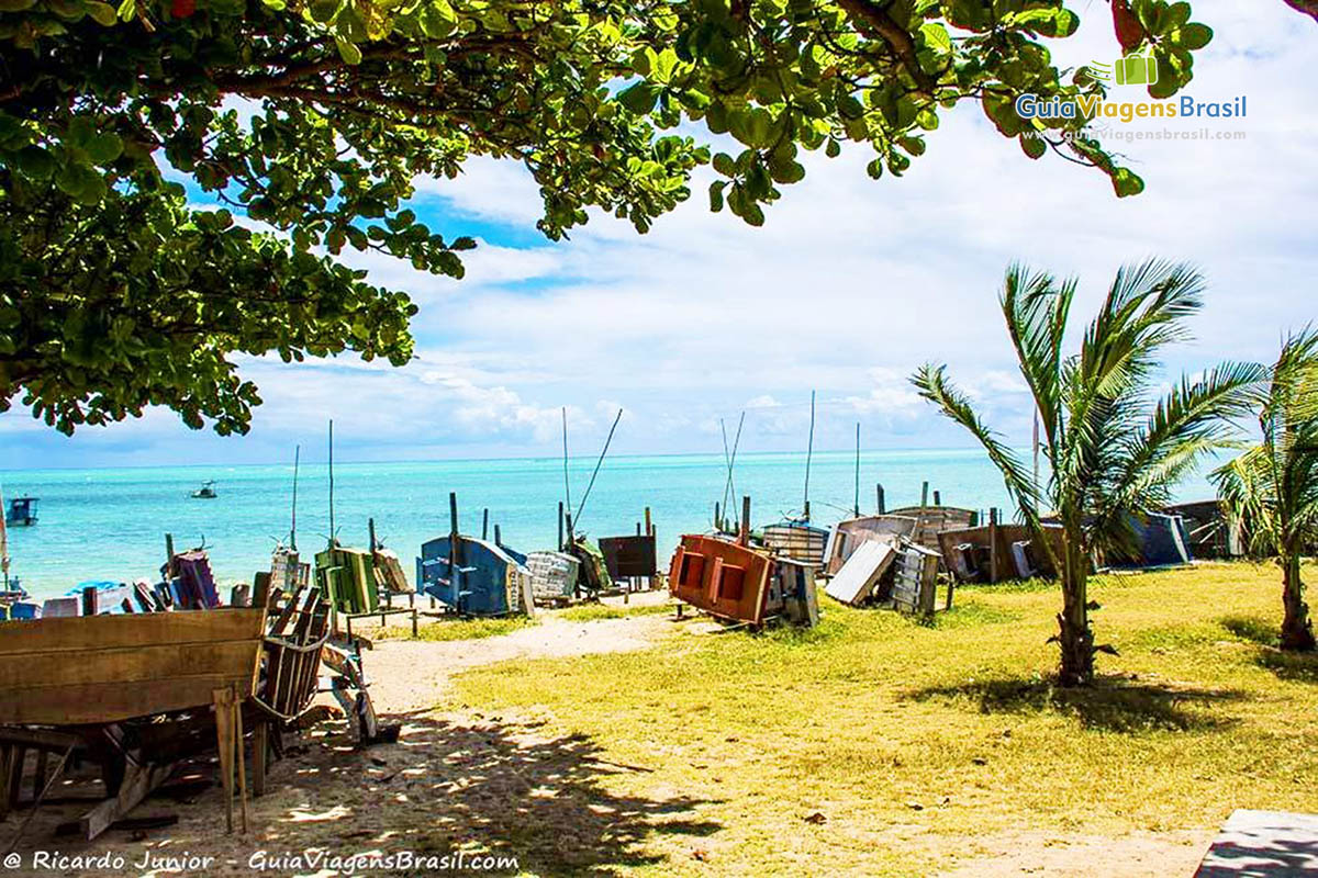 Imagem de sombra de uma árvore e barcos colocados lado a lado na areia da Praia de Ponta Verde, em Maceió, Alagoas, Brasil.