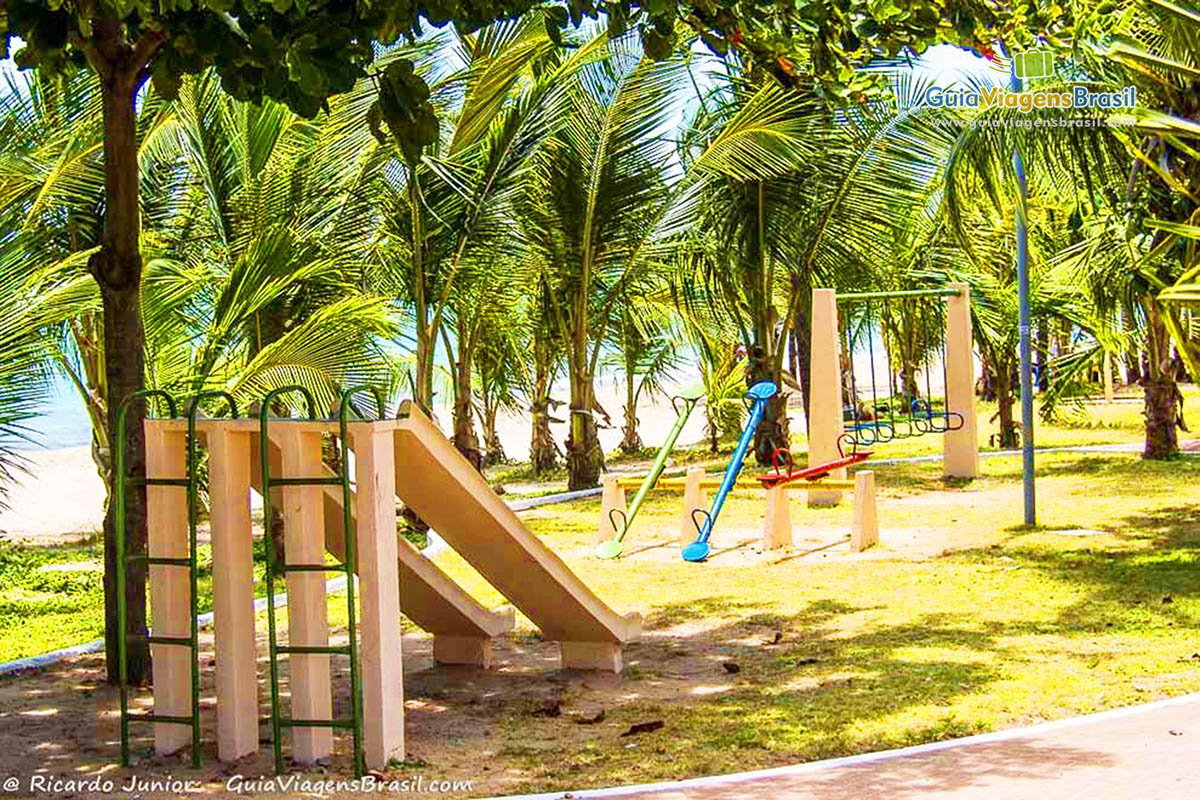 Imagem de aparelhos para exercício em meio ao verde da Praia de Ponta Verde, em Maceió, Alagoas, Brasil.