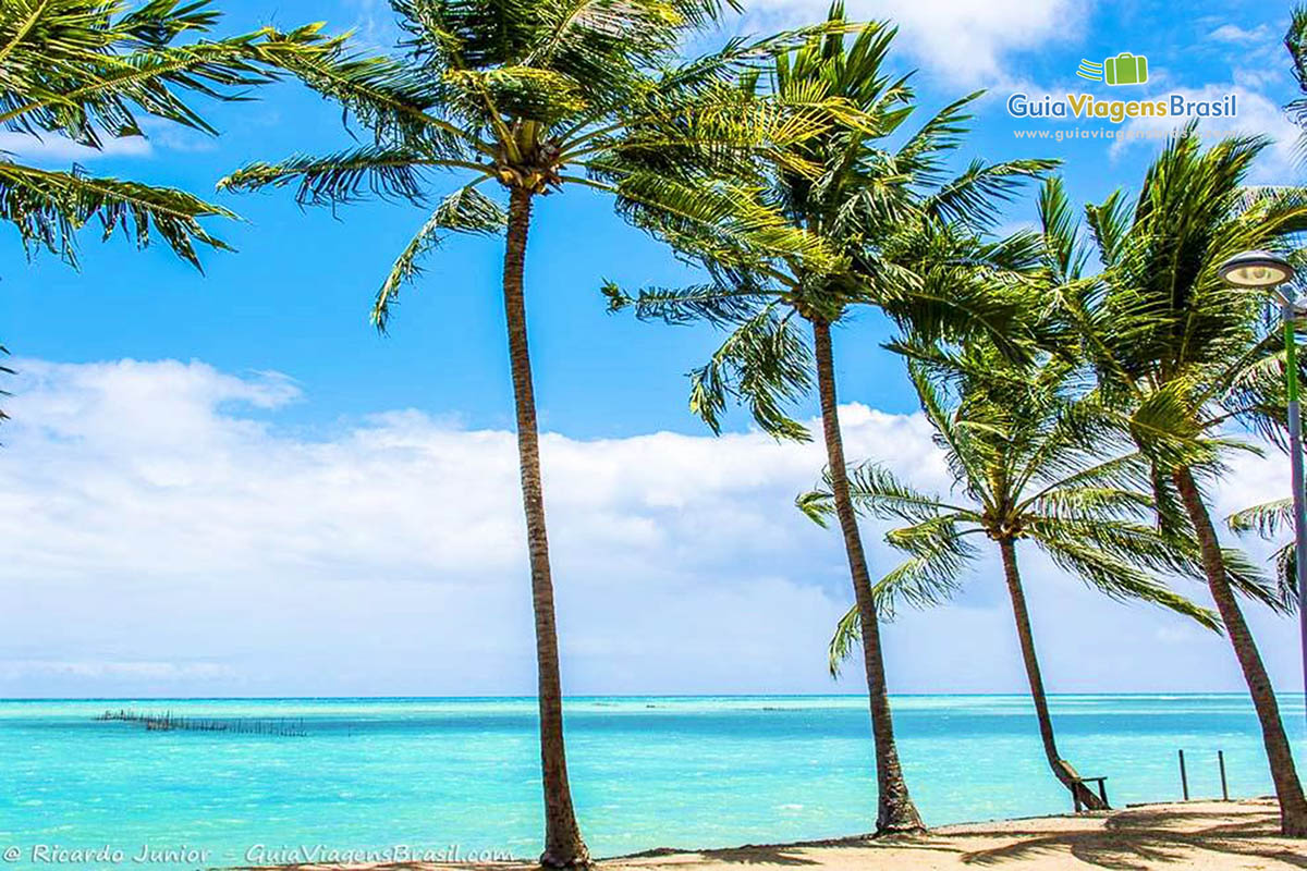 Imagem da linda e tranquila Praia de Ponta Verde, em Maceió, Alagoas, Brasil.