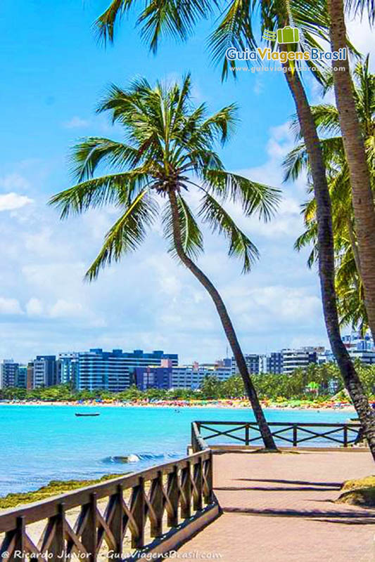 Imagem do deck e coqueiros compondo a paisagem da Praia de Ponta Verde em Maceió, Alagoas, Brasil.