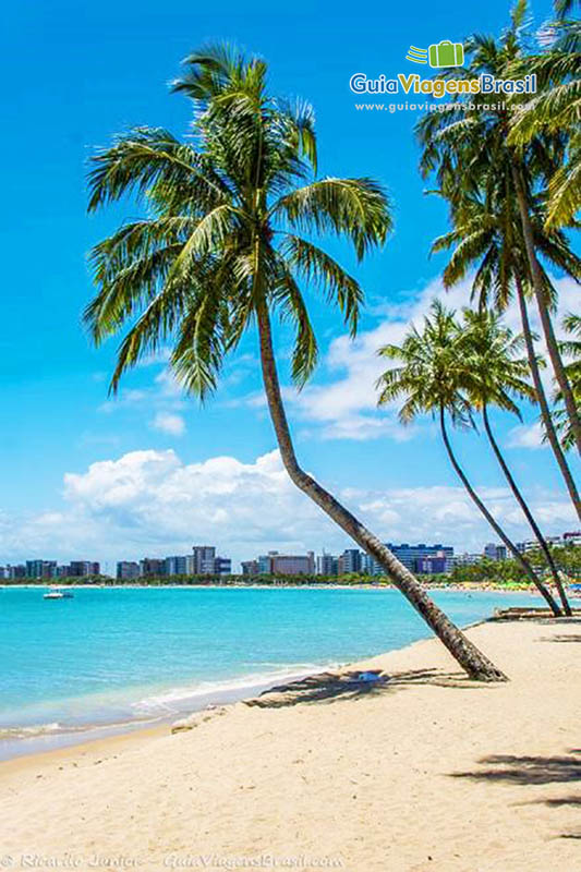 Imagem da Praia de Ponta Verde, imagem tão bela que merece uma música, em Maceió, Alagoas, Brasil.