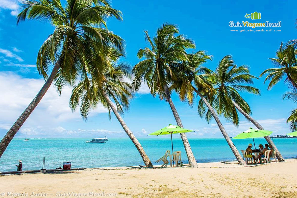 Imagem dos coqueiros inclinados ao fundo o mar da Praia de Ponta Verde, em Maceió, Alagoas, Brasil.