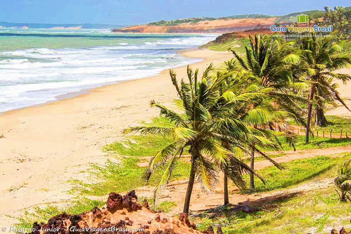 Imagem dos belos coqueiros da Praia de Simbauma.