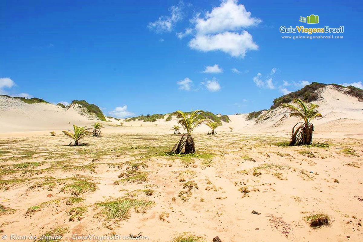 Imagem das areias e coqueiros da Praia de Simbauma.
