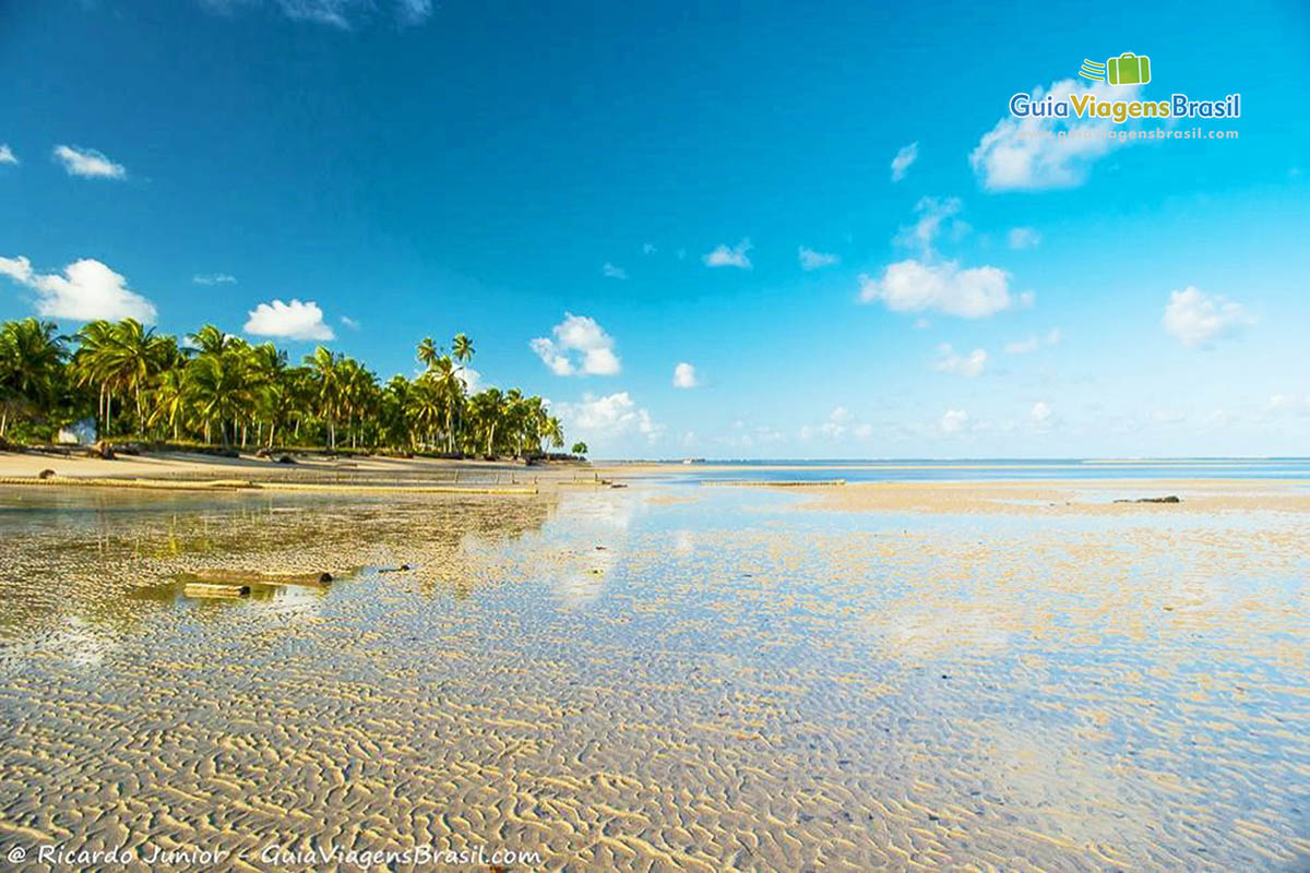 Imagem das águas translúcidas da Praia de Tatuamunha.