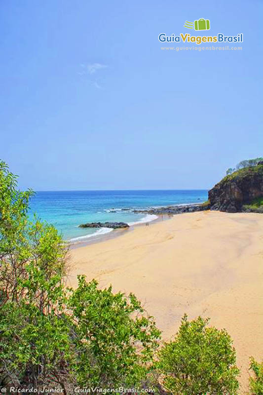 Imagem de topo de uma árvore a ao fundo a Praia do Americano, em Fernando de Noronha, Pernambuco, Brasil.