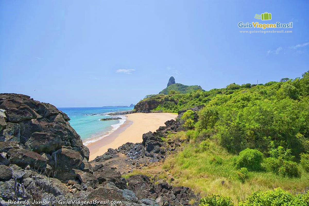 Imagem da vegetação que tem próximo a Praia do Americano, em Fernando de Noronha, Pernambuco, Brasil