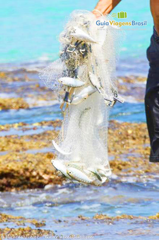 Imagem de peixes na rede de um pescador, na Praia do Cachorro, em Fernando de Noronha, Pernambuco, Brasil.