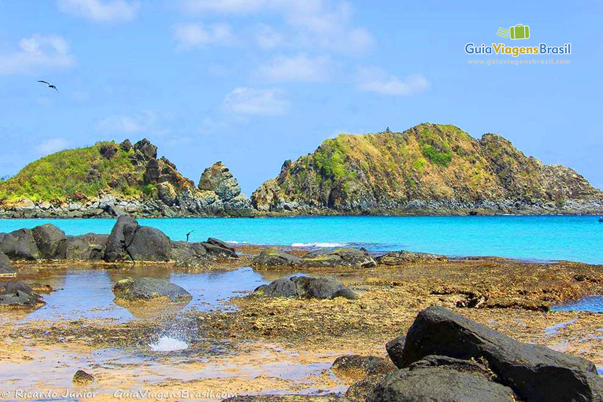 Imagem de pássaros e natureza em perfeita harmonia, em Fernando de Noronha, Pernambuco, Brasil.