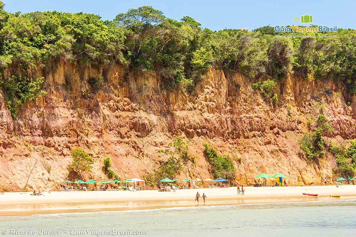 Imagem das falésias com vegetação e a Praia do Curral