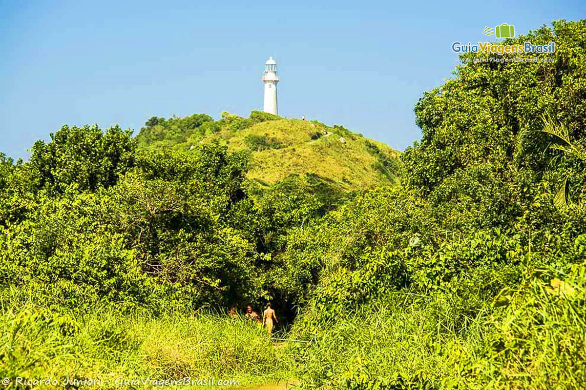 Imagem de uma vegetação no morro e Farol toda branco no alto da Praia do Farol, Ilha do Mel, Paraná, Brasil.