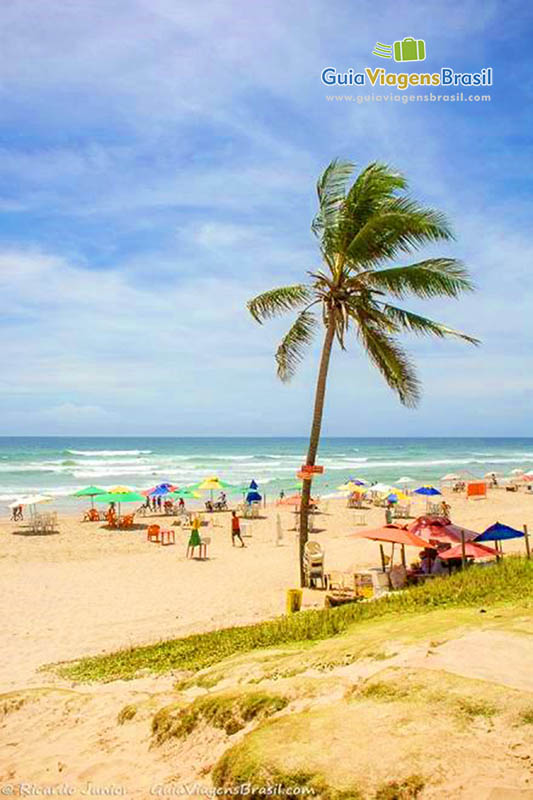 Imagem na chegada da Praia do Flamengo.