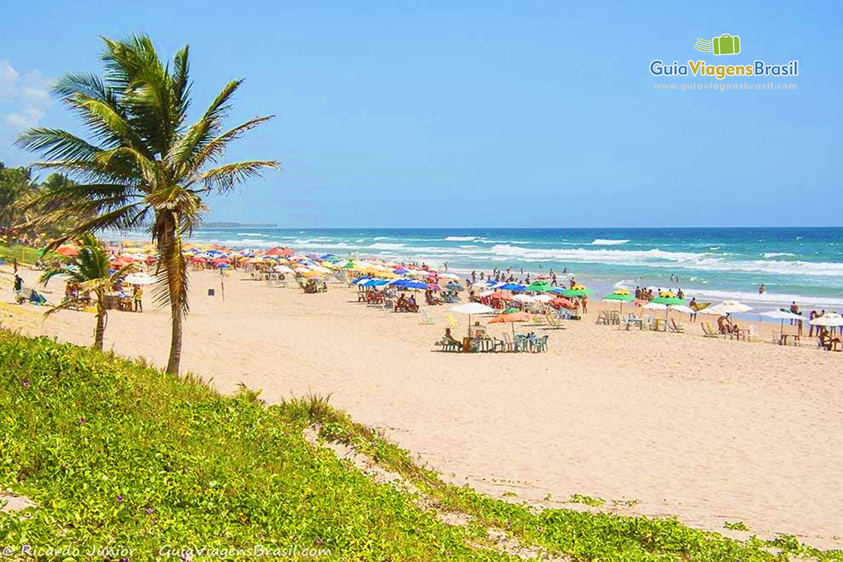 Imagem da Praia do Flamengo com guarda-sol coloridos na areia.