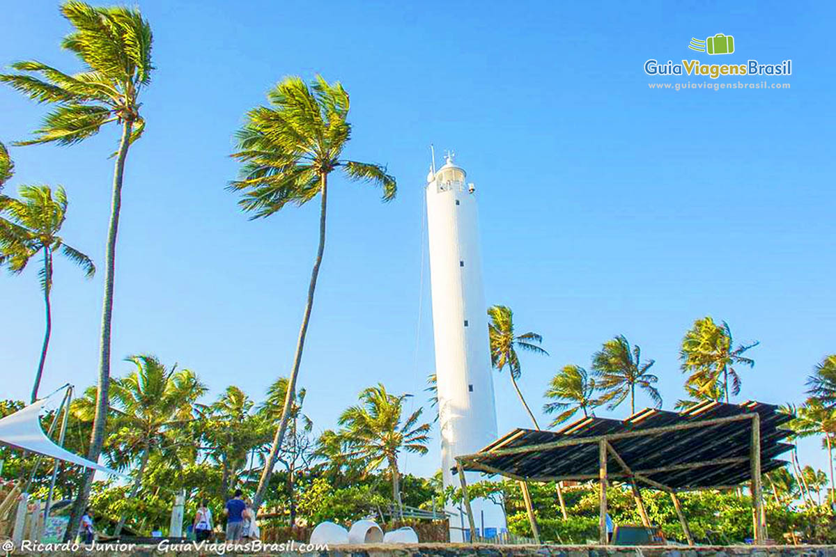 Imagem do farol e os belos coqueiros a sua volta.