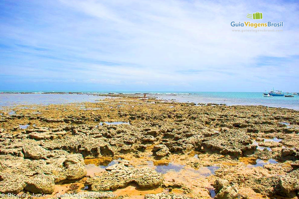 Imagem dos belos arecifes da Praia do Forte, Bahia.