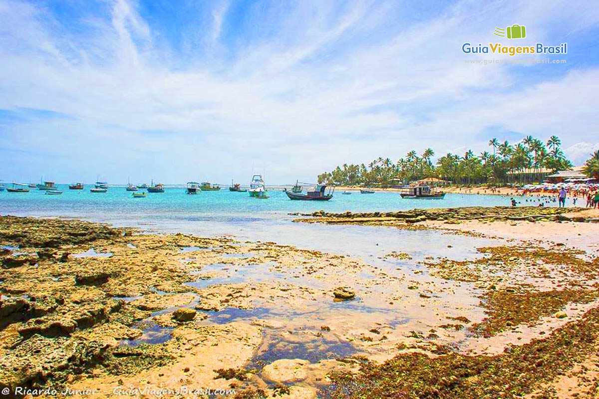 Imagem dos arecifes nas águas transparentes da Praia do Forte.