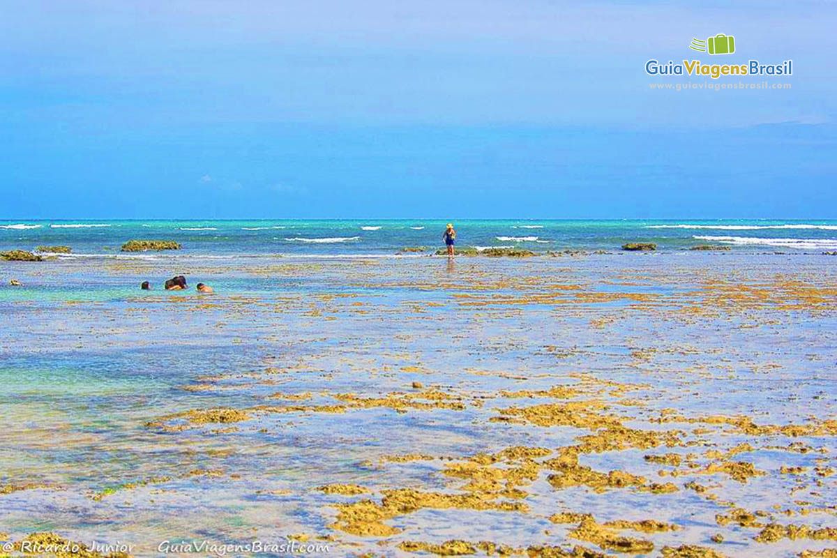 Imagem das águas claras da piscina natural.