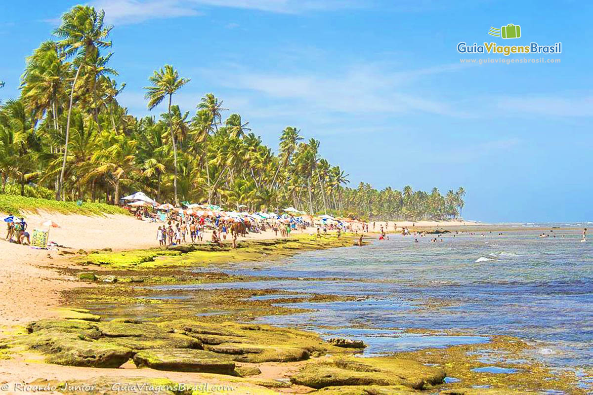 Imagem extensão da Praia do Forte.