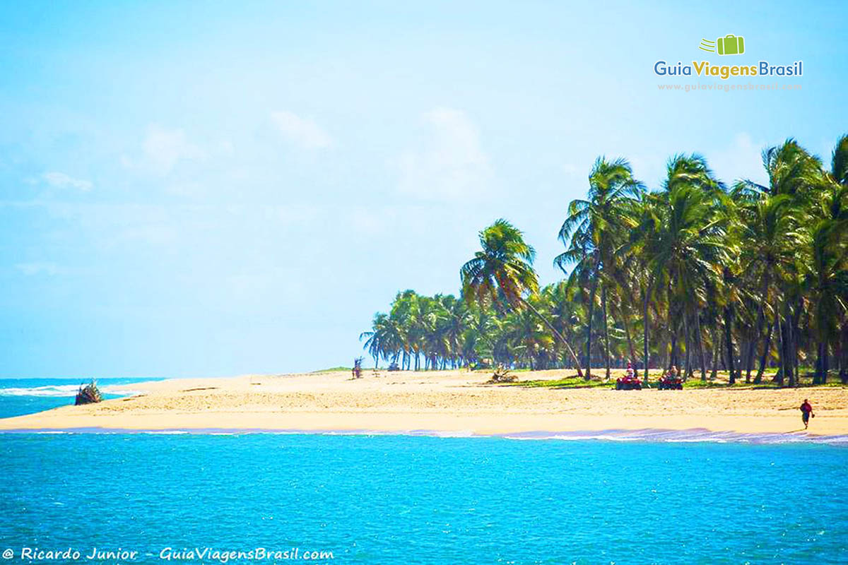 Imagem da ponta da praia, com coqueiros na areia, na Praia do Gunga, em Maceió, Alagoas, Brasil.