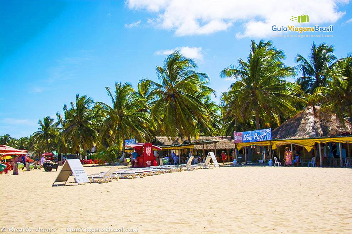 Imagem de coqueiros com quiosques na Praia do Gunga, em Maceió, Alagoas, Brasil.