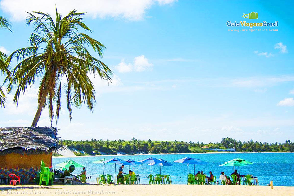 Imagem de coqueiros, cadeiras com guarda sol e quiosque na Praia do Gunga, em Maceió, Alagoas, Brasil.