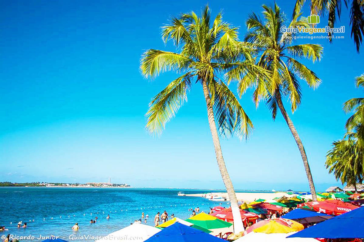 Imagem de coqueiros com mar azul ao fundo na Praia do Gunga, em Maceió, Alagoas, Brasil.