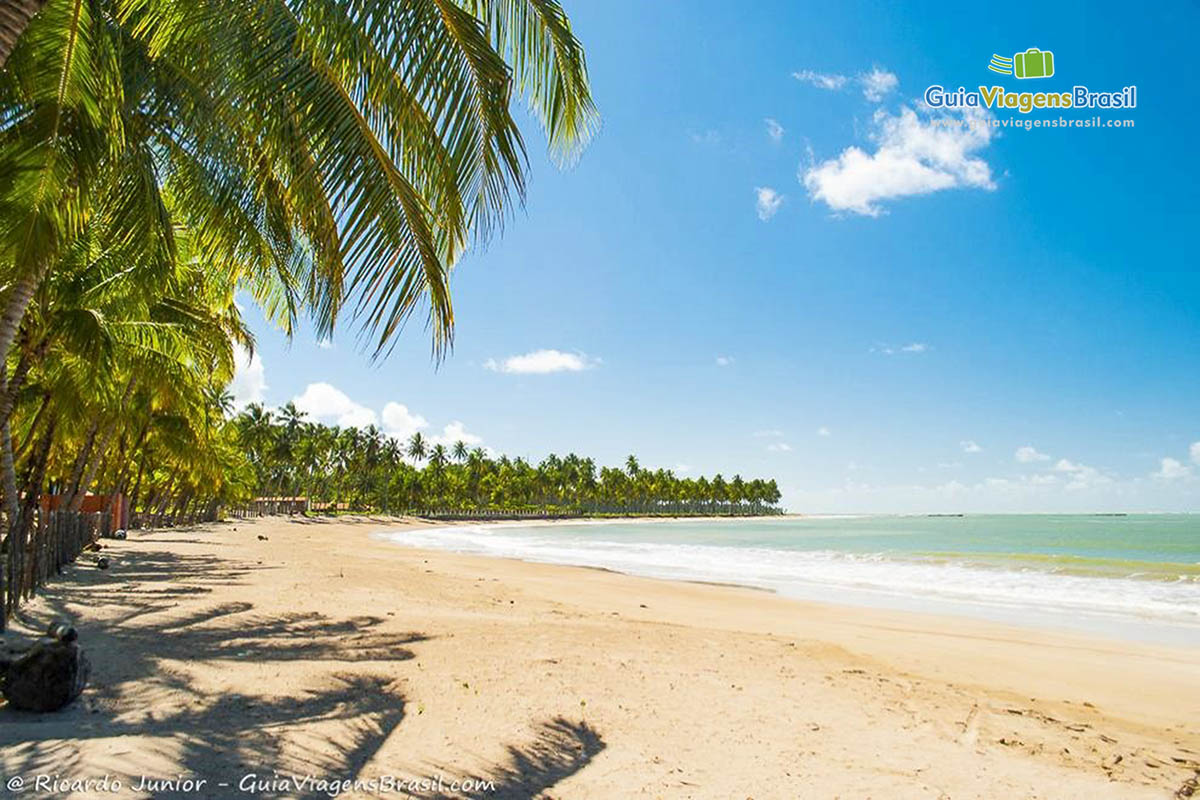 Imagem de toda extensão da Praia de Marceneiro, em Alagoas.