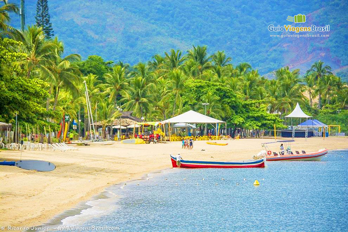 Imagem de coqueiros e quiosques na orla da Praia Perequê.