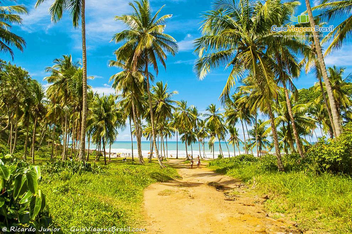 Imagem da trilha na chegada da Praia do Resende, em Itacaré.