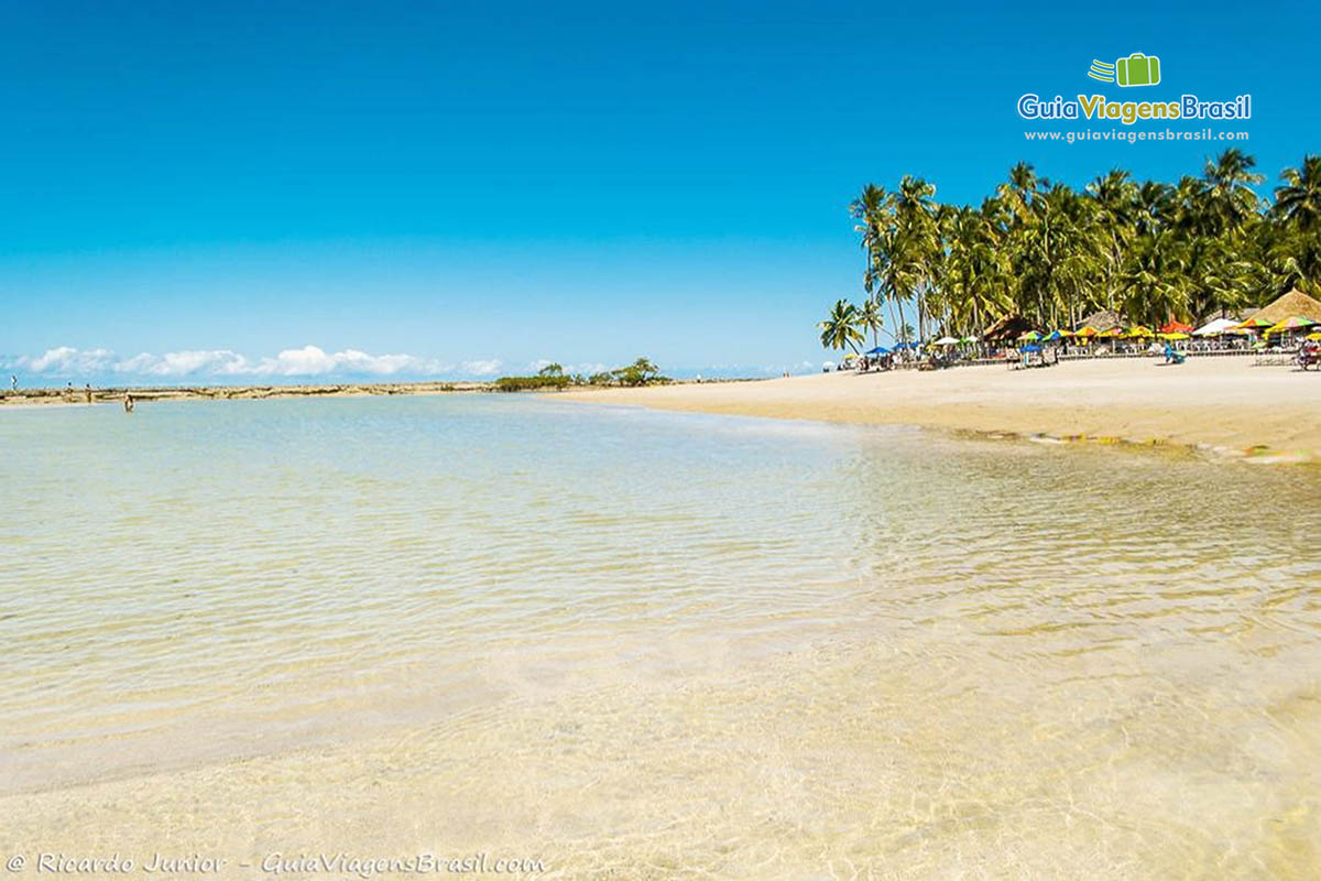 Imagem das águas cristalinas da Praia dos Carneiros. 