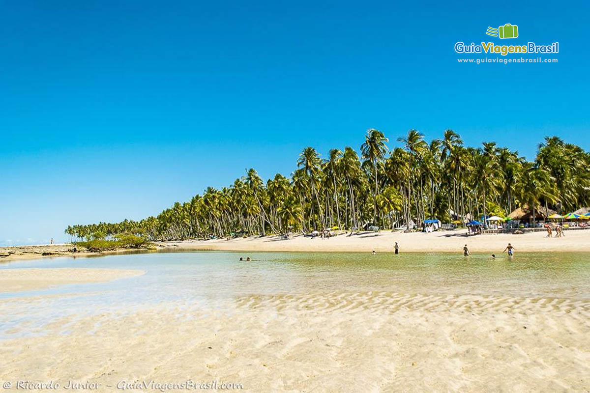 Imagem de turistas na piscina natural da Praia dos Carneiros.