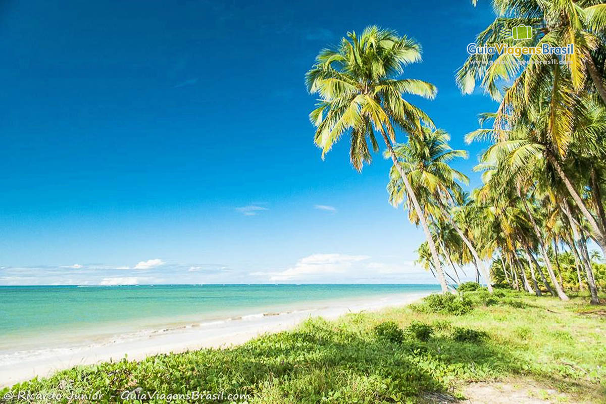 Imagem de linda Praia do Patacho, em Porto de Pedras, AL.