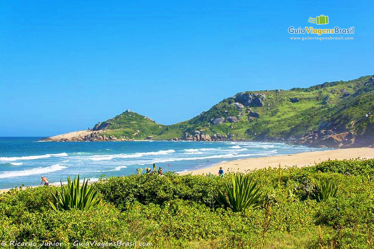 Imagem da linda Praia Mole.