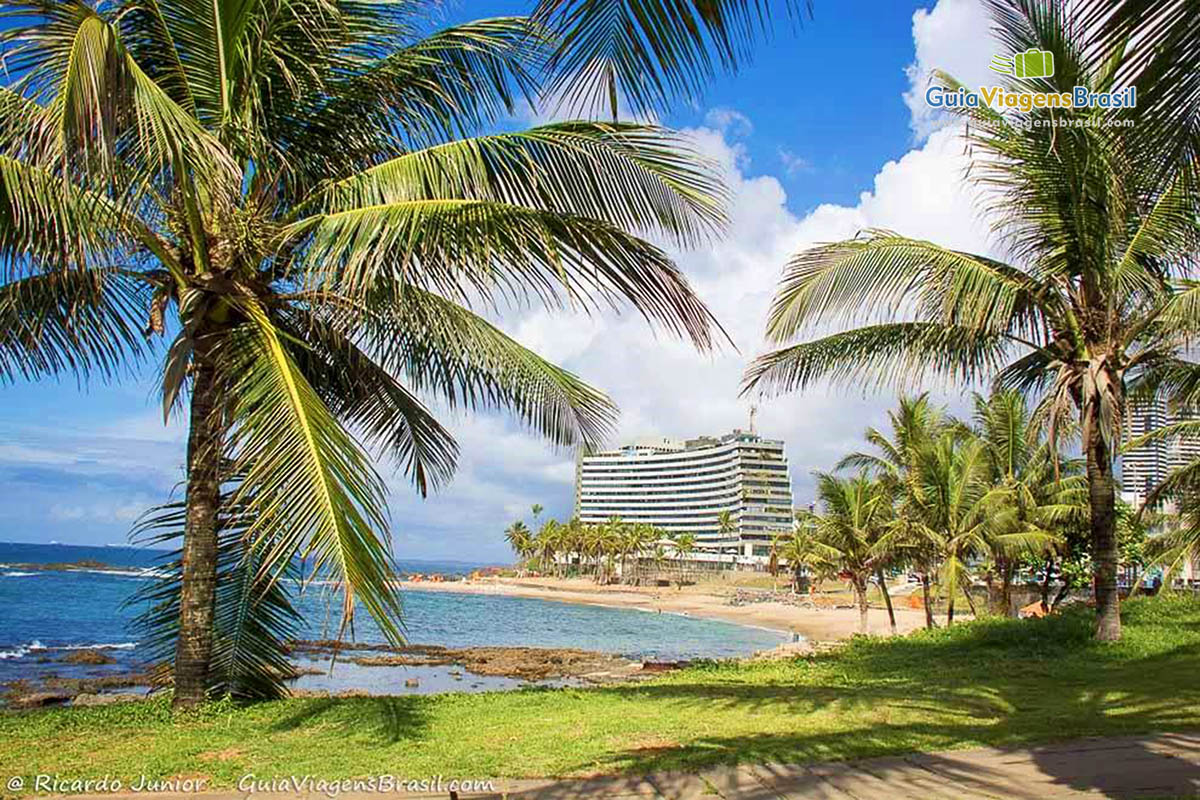 Imagem da lindíssima Praia Ondina com coqueiros e belos prédio ao fundo.