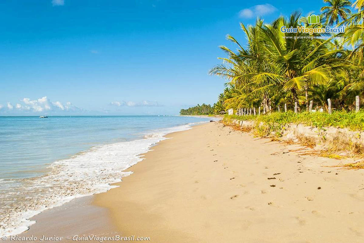 Imagem da pequena faixa de areia na Praia Ponta do Mangue, em Maragogi.