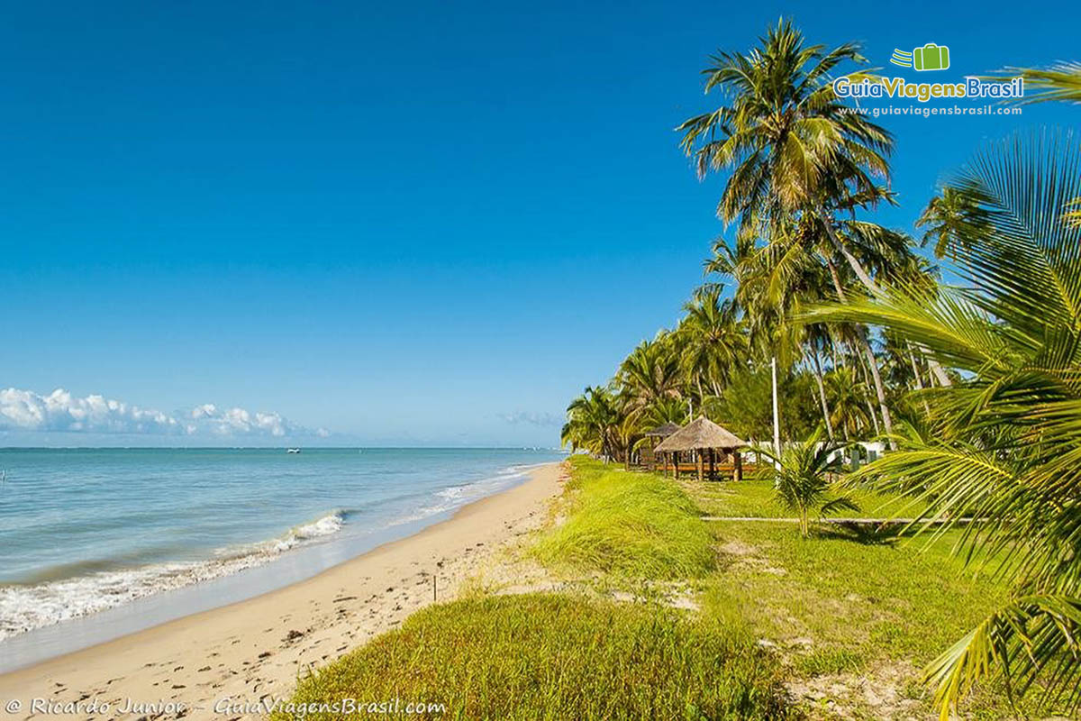 Imagem de quiosque e a vegetação da Praia Ponta do Mangue