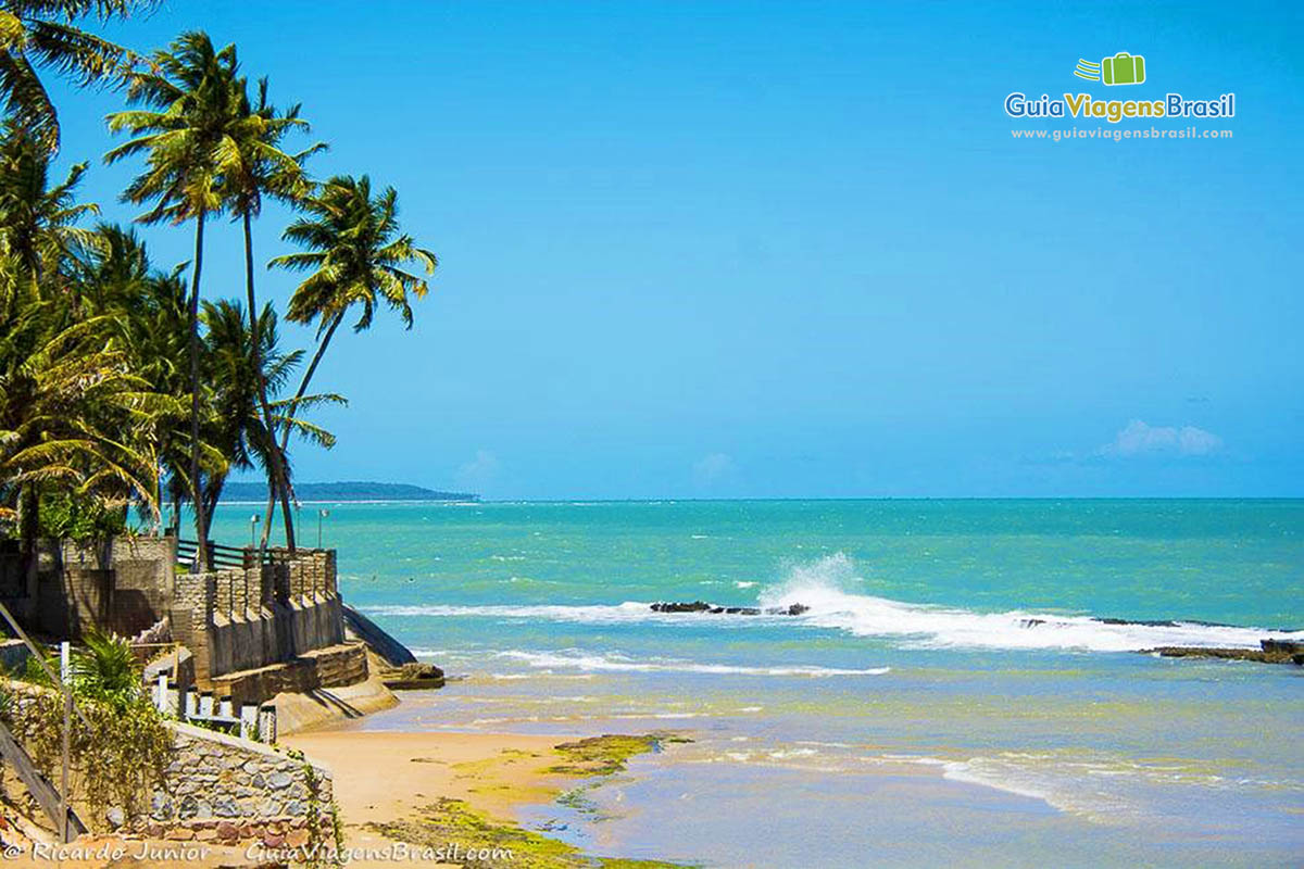 Imagem Praia do Coruripe, beleza natural. Mar e coqueiros na areia, em Alagoas, Brasil.