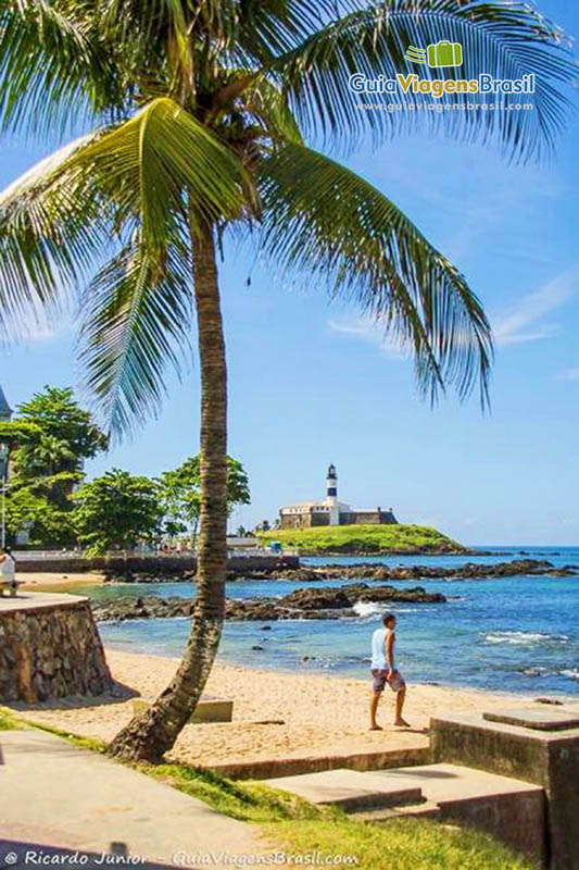 Imagem de coqueiro na orla da praia e ao fundo o Forte.