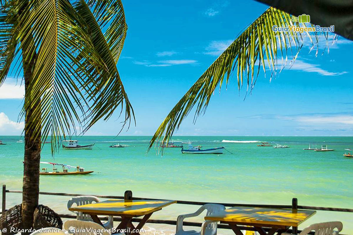 Imagem do mar encantador na Praia de Porto de Galinhas.