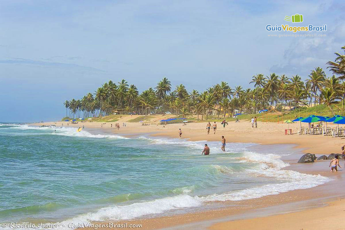 Imagem da extensão da Praia Stella Maris e ao fundo os coqueiros.